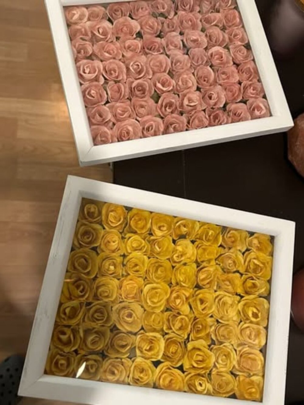 Shadow Boxes Dried Roses French Country Shabby Chic Flower Frames Set of 2